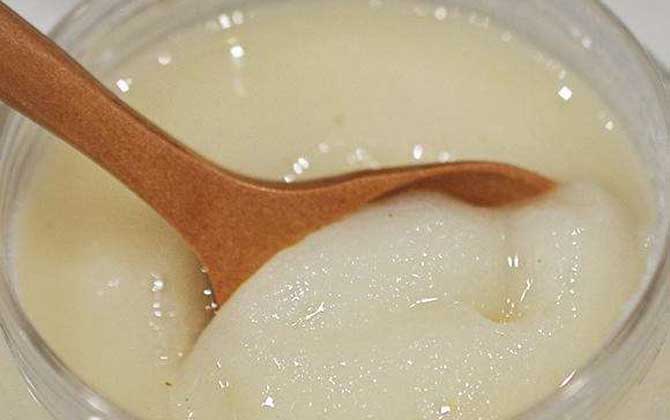 柃木蜜的功效與作用及食用方法 柃木蜜