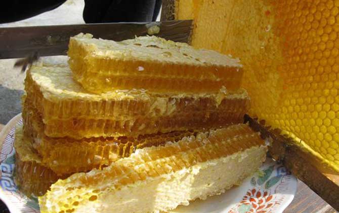 蜂巢蜜的作用與功效及食用方法 蜂巢蜜