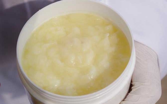 蜂王漿變質(zhì)是什么樣子的? 蜂王漿