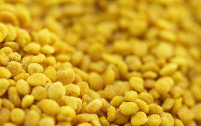 蜂花粉和松花粉有什么區(qū)別? 蜂花粉