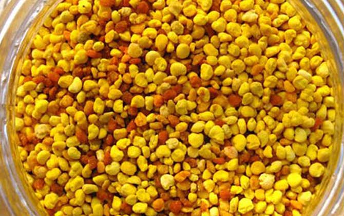 去黃褐斑吃哪種花粉最好? 百花粉