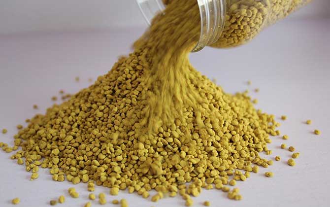 女人吃花粉的好處和壞處 花粉