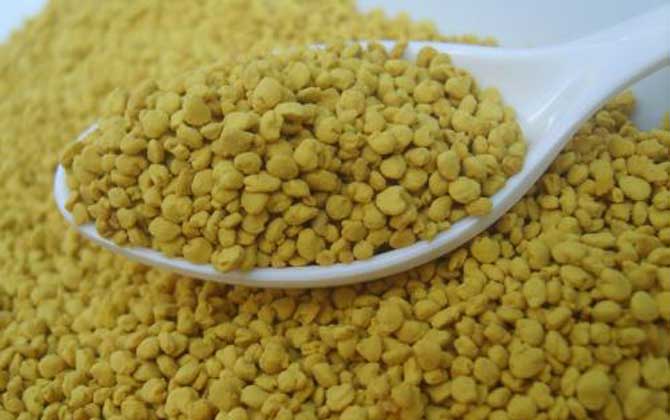 蜂花粉的種類及功效大全 油菜花粉