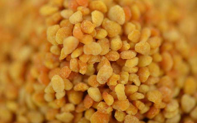 蜂花粉的種類及功效大全 荷花粉