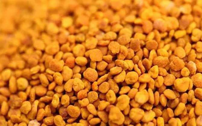 茶花粉適合什么人吃? 茶花粉