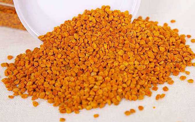 茶花粉適合什么人吃? 茶花粉