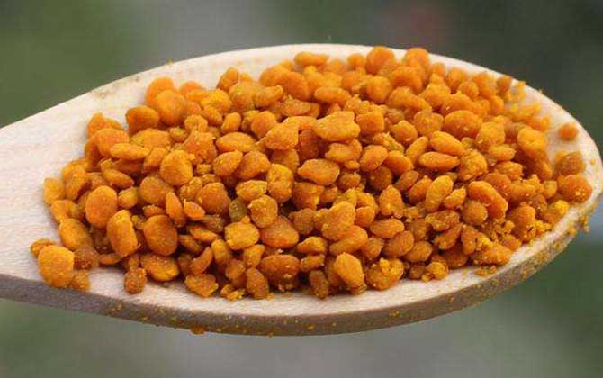 茶花粉的功效與副作用及禁忌 茶花粉