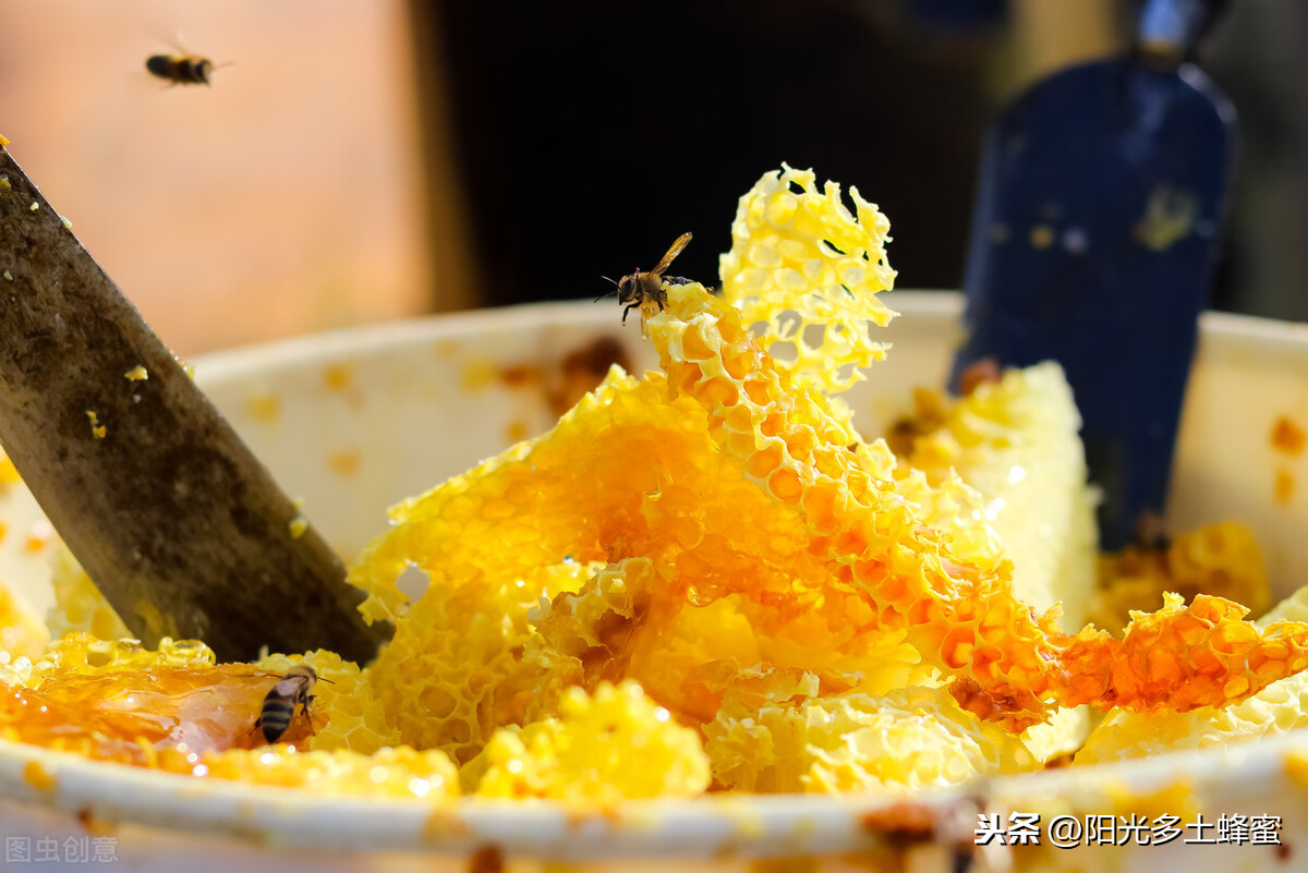 你試過刮脾取蜜嗎？它真的優于搖蜜機取蜜嗎？