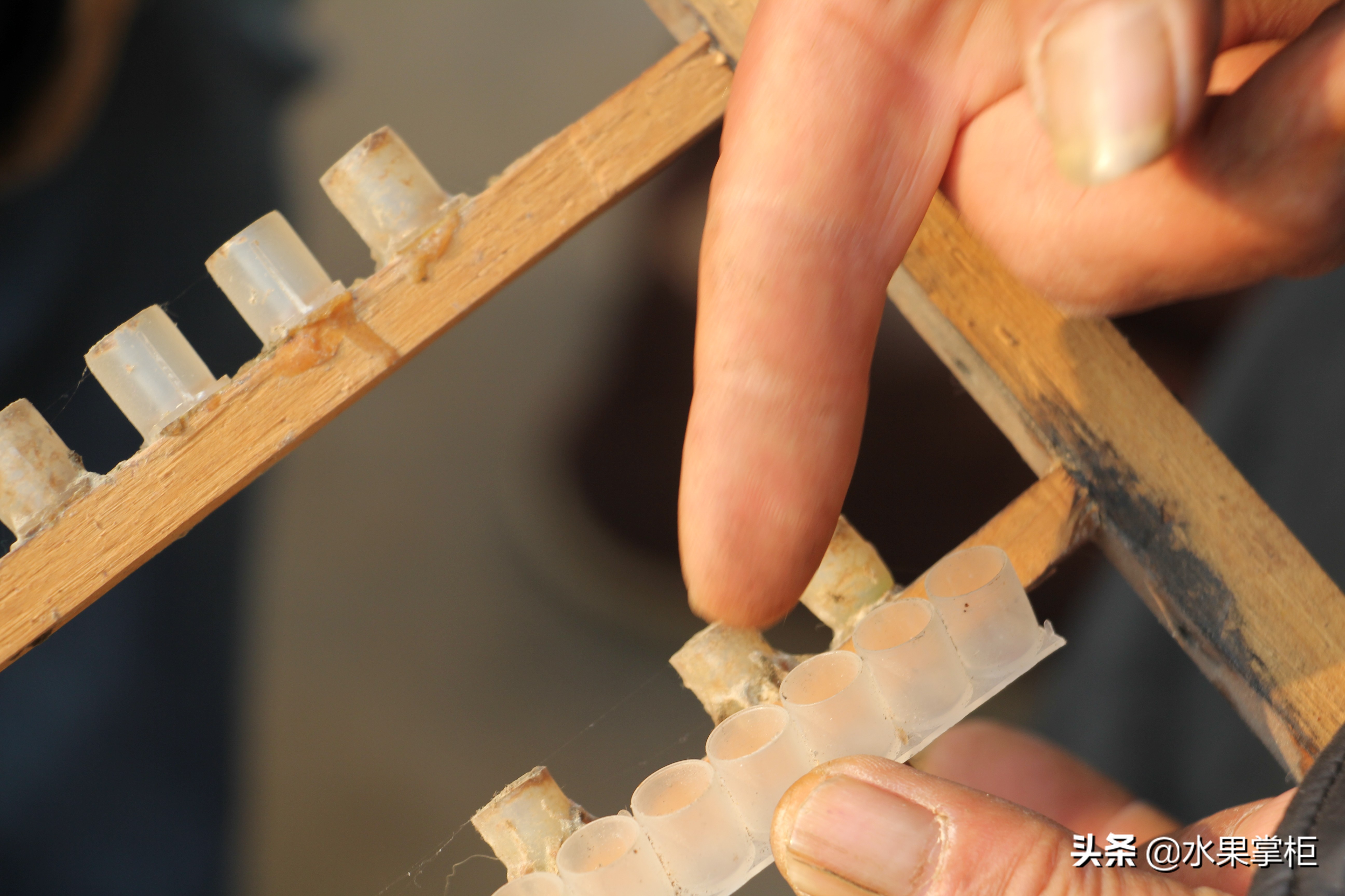 漲知識：農(nóng)家養(yǎng)土蜂蜜的工具，你認(rèn)識幾個？留言回復(fù)，連載哦