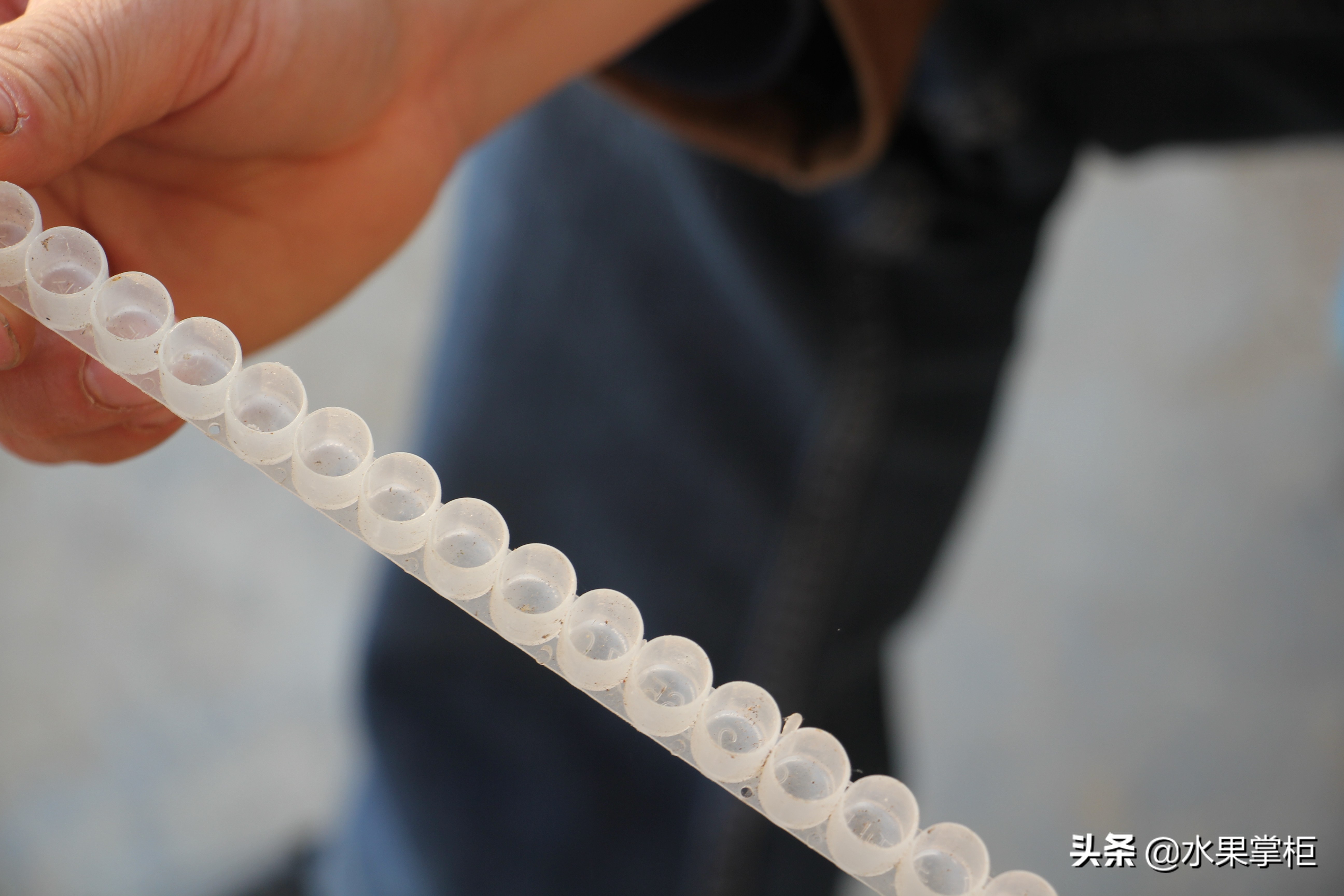 漲知識：農(nóng)家養(yǎng)土蜂蜜的工具，你認(rèn)識幾個？留言回復(fù)，連載哦