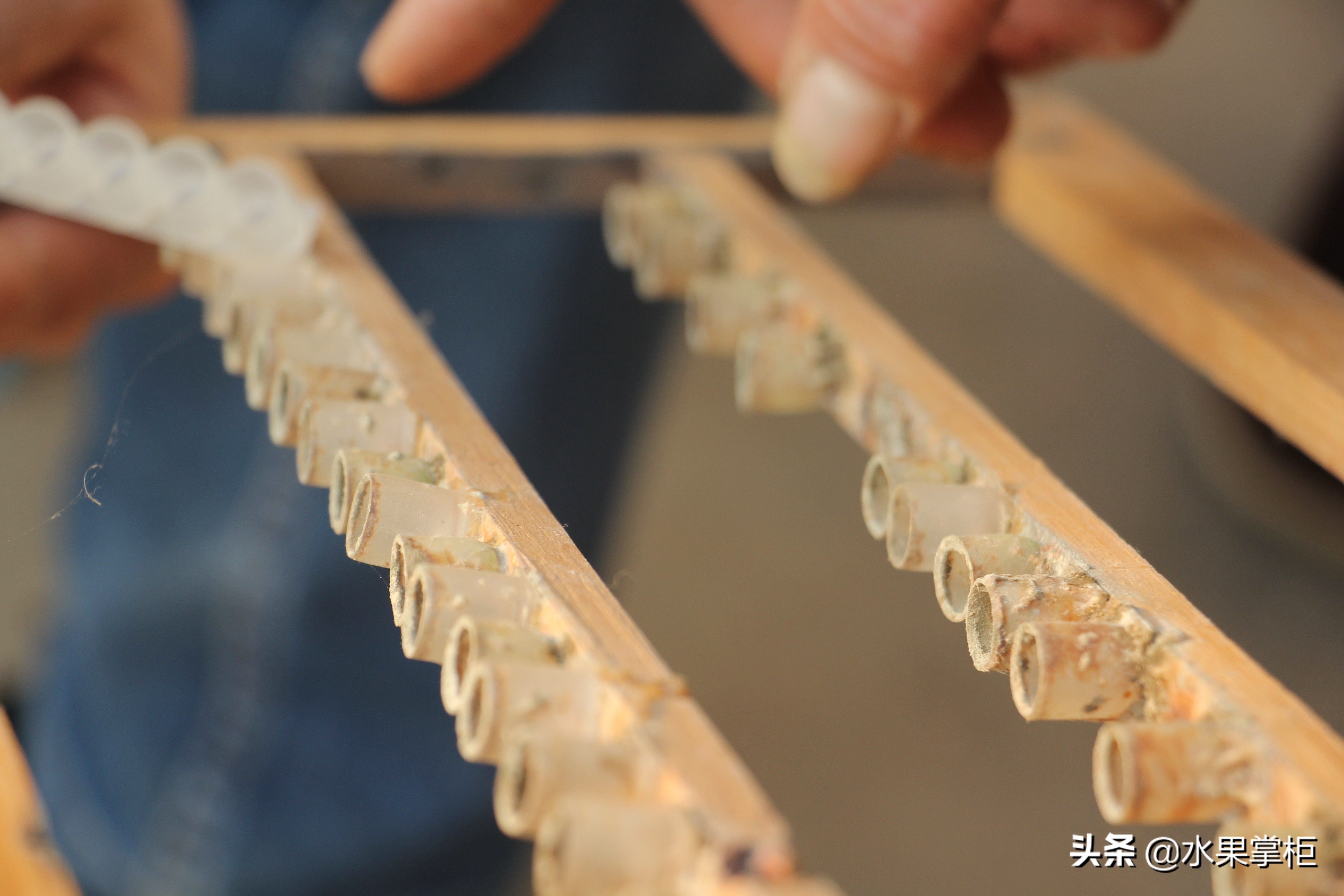 漲知識：農(nóng)家養(yǎng)土蜂蜜的工具，你認(rèn)識幾個？留言回復(fù)，連載哦