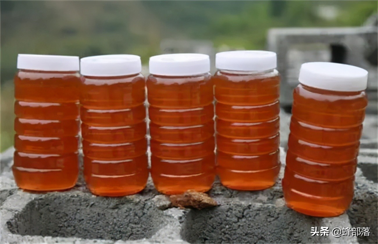 意大利引進國內的蜜蜂，嚴重危害中華蜜蜂，為啥我國還要大量養殖？