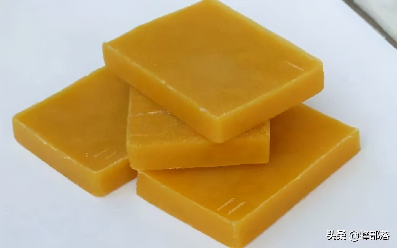 意大利引進國內的蜜蜂，嚴重危害中華蜜蜂，為啥我國還要大量養殖？