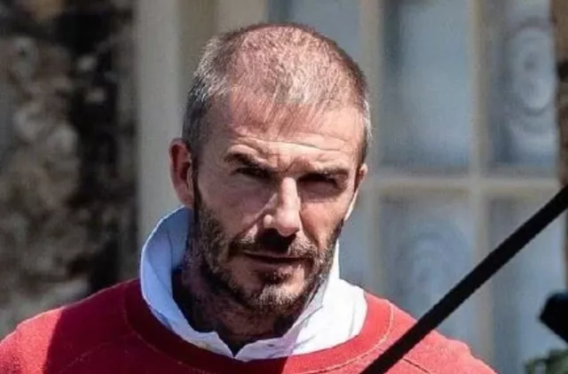 中國熬夜地圖,哪里的人最喜歡熬夜 中國人哪里人最容易禿?這9個省份的人注意了