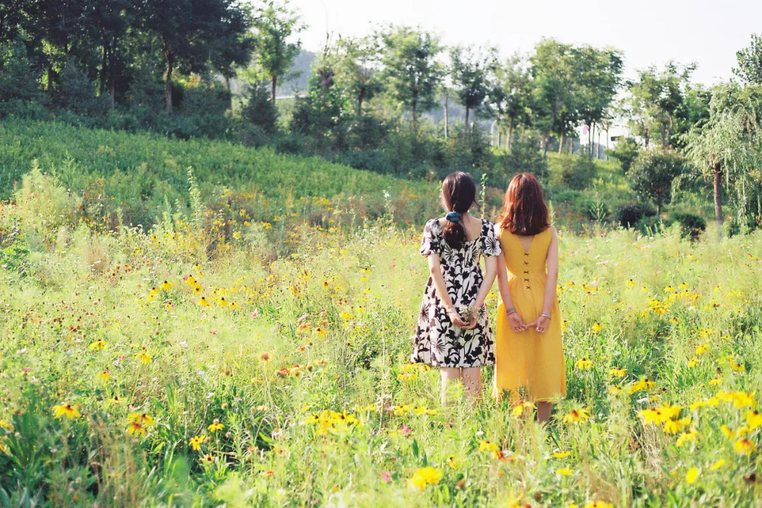 最舒服的關(guān)系不是三觀相同，而是......（人和人之間最舒服的關(guān)系是共性和吸引）