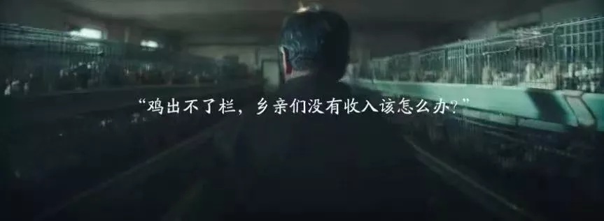 一個人最頂級的自律，是拒絕內耗