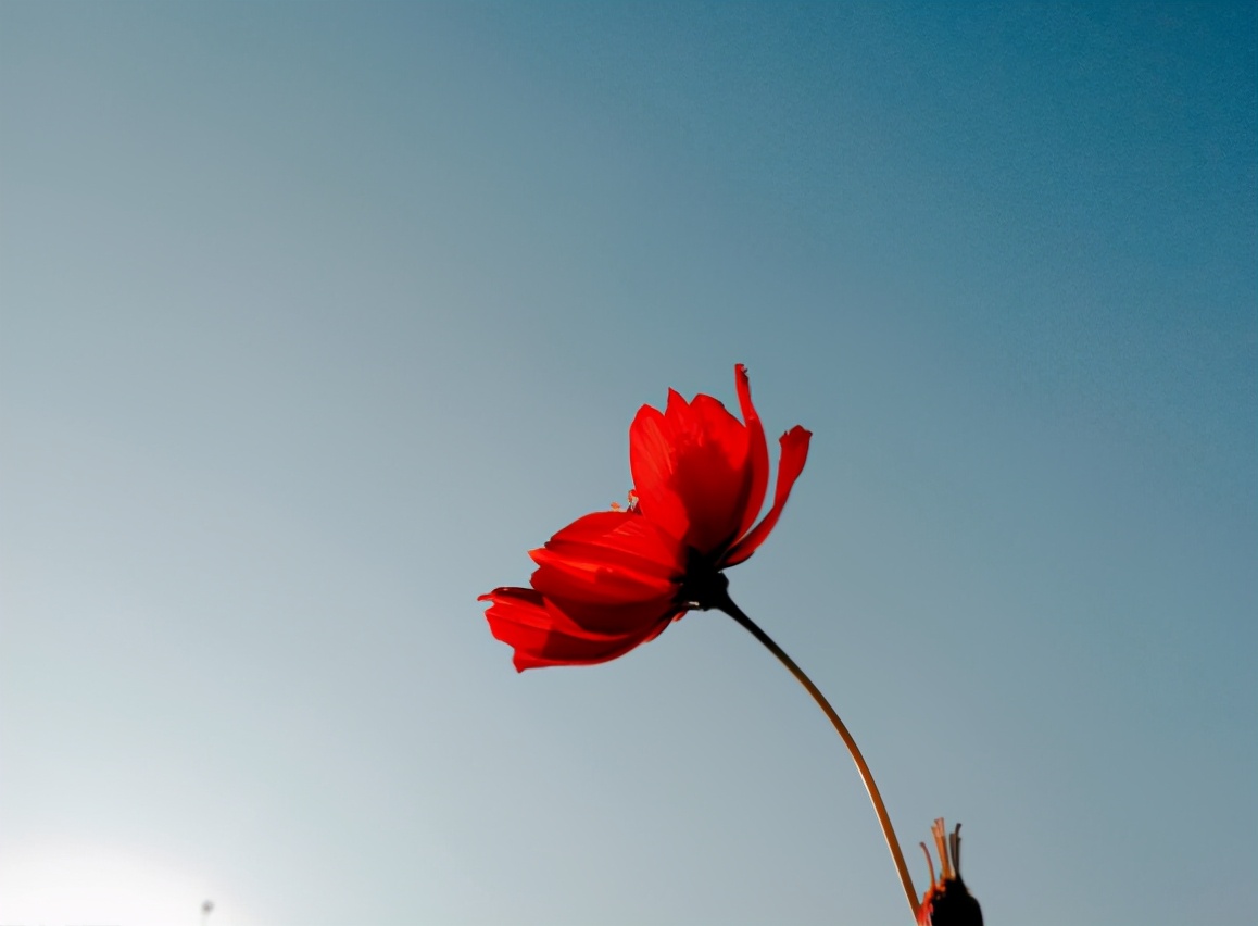 越是無人懂你,越要愛自己(沒有人會永遠愛你,除了你自己) 越是無人懂你,越要愛自己(沒有人會永遠愛你,除了你自己)