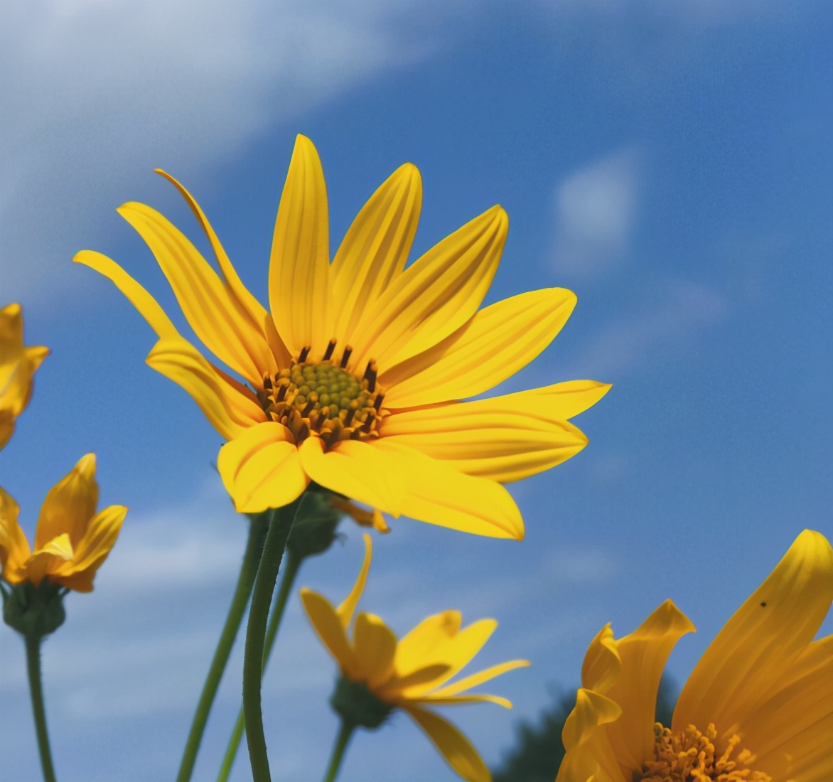 越是無人懂你,越要愛自己(沒有人會永遠愛你,除了你自己) 越是無人懂你,越要愛自己(沒有人會永遠愛你,除了你自己)
