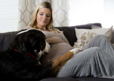 孕期該不該送走寵物(懷孕期間能不能養寵物) 懷孕了,該不該把狗狗送走?