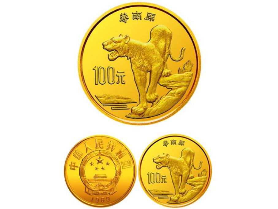 云南發現極危物種 消失100多年!云南發現極危物種異葉苣苔,野生華南虎會出現嗎?