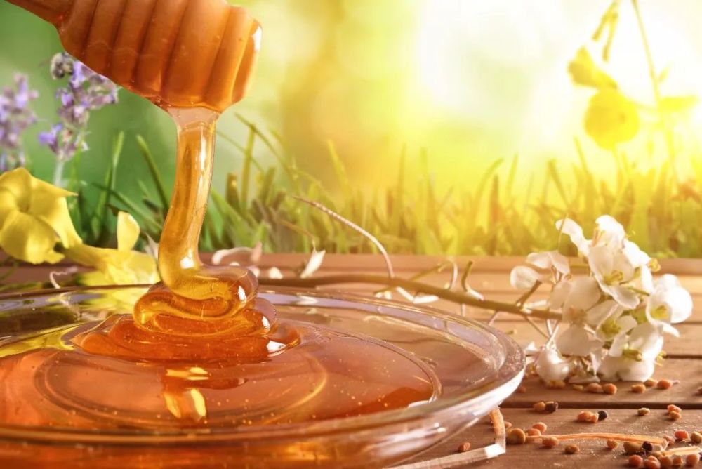 常見蜂蜜有多少種類（附帶我國(guó)常見的24種蜂蜜）