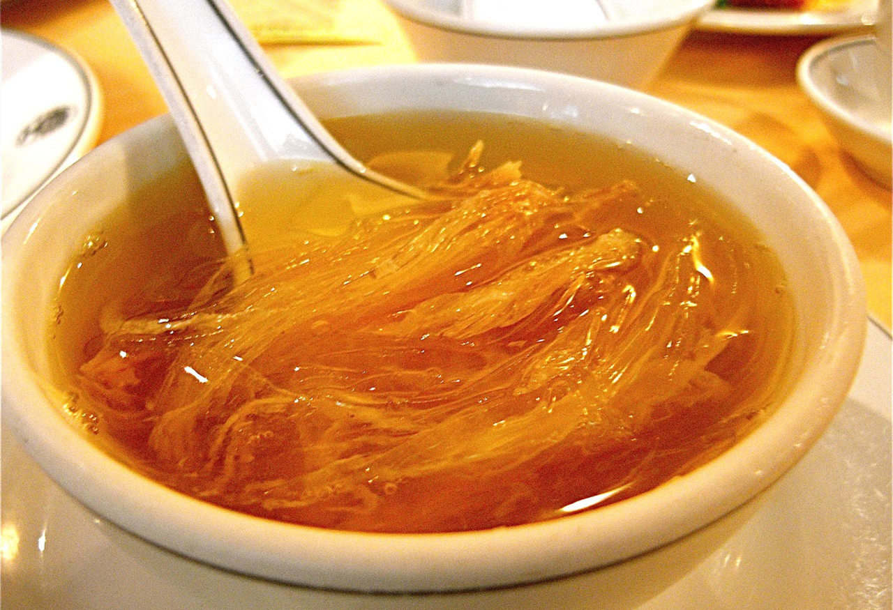 全球每年銷(xiāo)售魚(yú)翅140萬(wàn)噸，殺死1億條鯊魚(yú)，為何不能人工飼養(yǎng)？