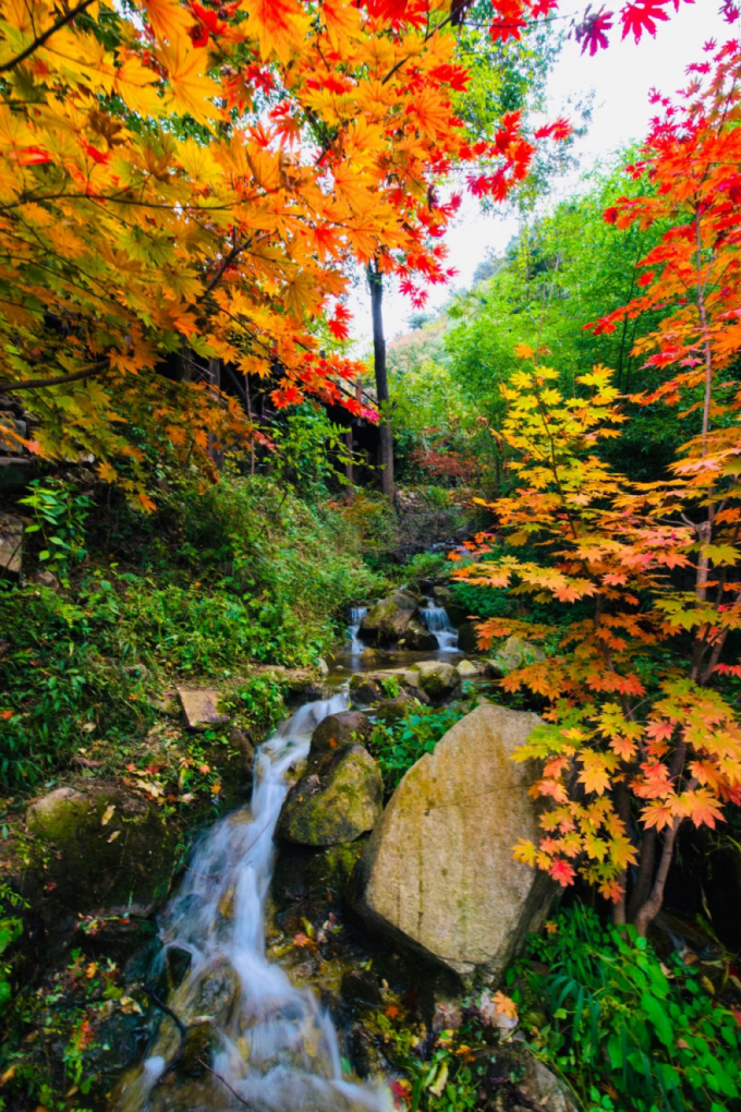 有篝火、有星空！山東私藏的這些自駕露營地景美人少，現在就出發！