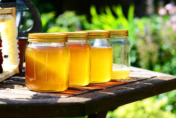 天山雪蜜是什么味道(天山雪蜜好不好吃) 天山雪蜜是什么味道(天山雪蜜好不好吃)