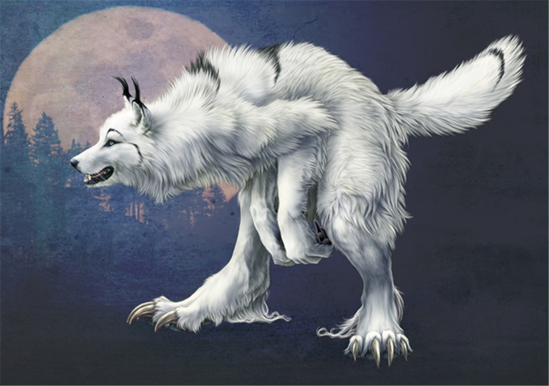 長白山多次出現“狽”，最早記載于西漢，奔跑時前腿搭在狼身上