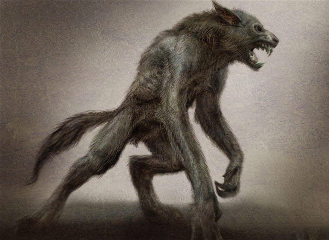 長白山多次出現“狽”，最早記載于西漢，奔跑時前腿搭在狼身上