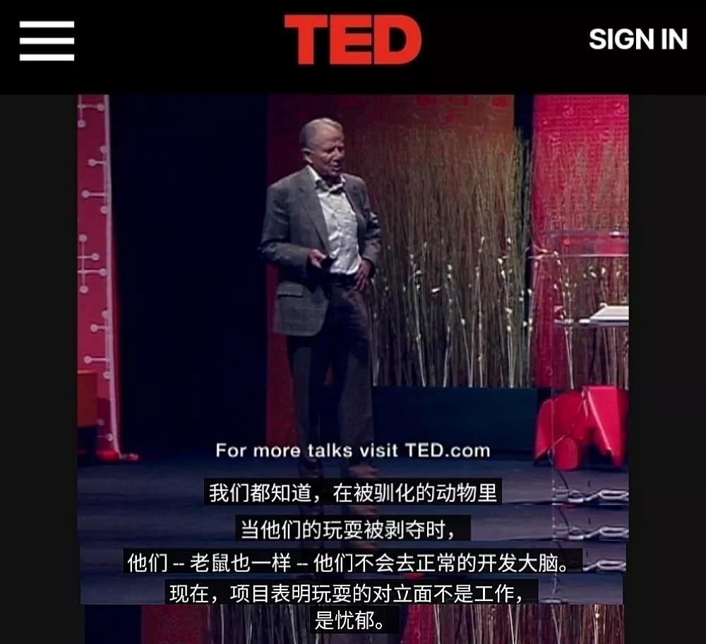 家長須知（62）玩耍對孩子有多重要？真相或許會顛覆你的認知