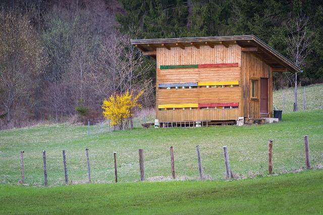 如何定地養(yǎng)殖蜜蜂（定地養(yǎng)蜂場(chǎng)地與模式選擇）