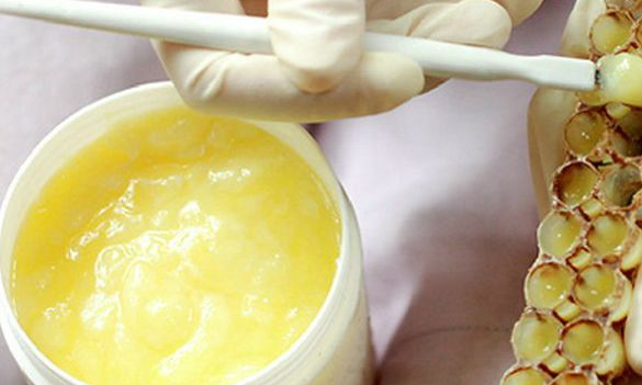 蜂乳和蜂蜜的區(qū)別(什么是蜂乳,和蜂蜜有啥區(qū)別) 蜂乳和蜂蜜的區(qū)別(什么是蜂乳,和蜂蜜有啥區(qū)別)