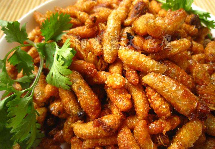 如何區(qū)別蜜蜂蛹和胡蜂蛹？