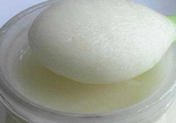 雪脂蓮蜜的作用與功效(雪脂蓮蜜的食用禁忌) 雪脂蓮蜜的作用與功效(雪脂蓮蜜的食用禁忌)