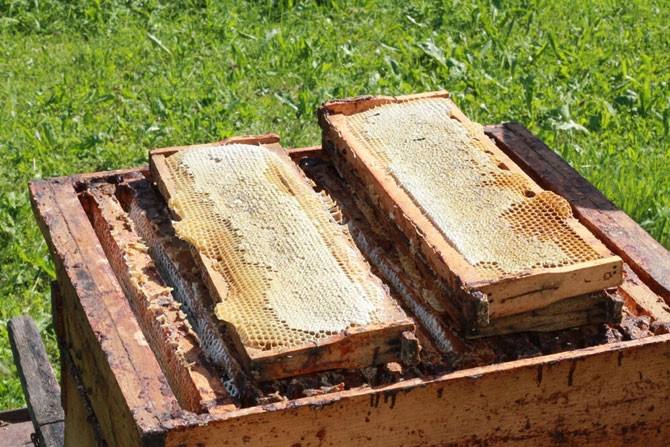 塑料巢礎怎么安裝? 塑料巢礎怎么安裝?