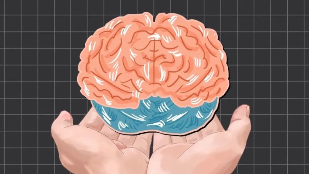 地球上最成功的植物，1萬年前操縱智人，占地面積將近10個英國