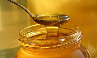 野山蜂蜜的幾大功效(野山蜂蜜的吃法) 野山蜂蜜的幾大功效(野山蜂蜜的吃法)