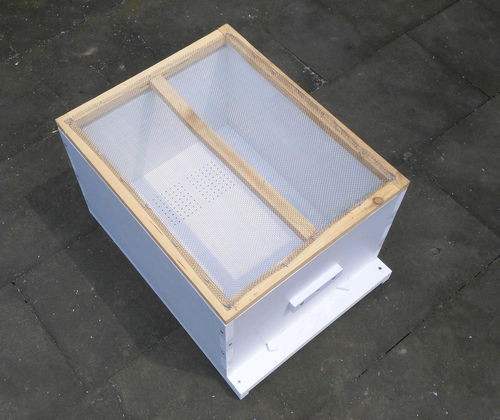 新手養蜜蜂死了是怎么回事（剛來的野蜂，不久全部死亡，什么原因）