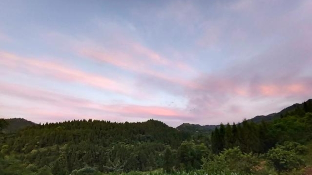 蜜蜂什么時候取蜜最好？取蜜的3種常用方法，每種方法的利與弊