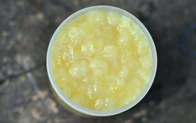 蜂王漿是哪種蜜蜂吃的(蜂王漿的營(yíng)養(yǎng)價(jià)值) 蜂王漿是哪種蜜蜂吃的(蜂王漿的營(yíng)養(yǎng)價(jià)值)