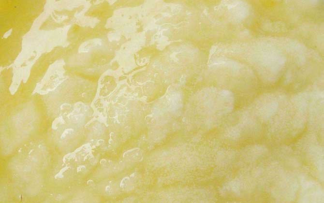 蜂王漿是哪種蜜蜂吃的(蜂王漿的營(yíng)養(yǎng)價(jià)值) 蜂王漿是哪種蜜蜂吃的(蜂王漿的營(yíng)養(yǎng)價(jià)值)