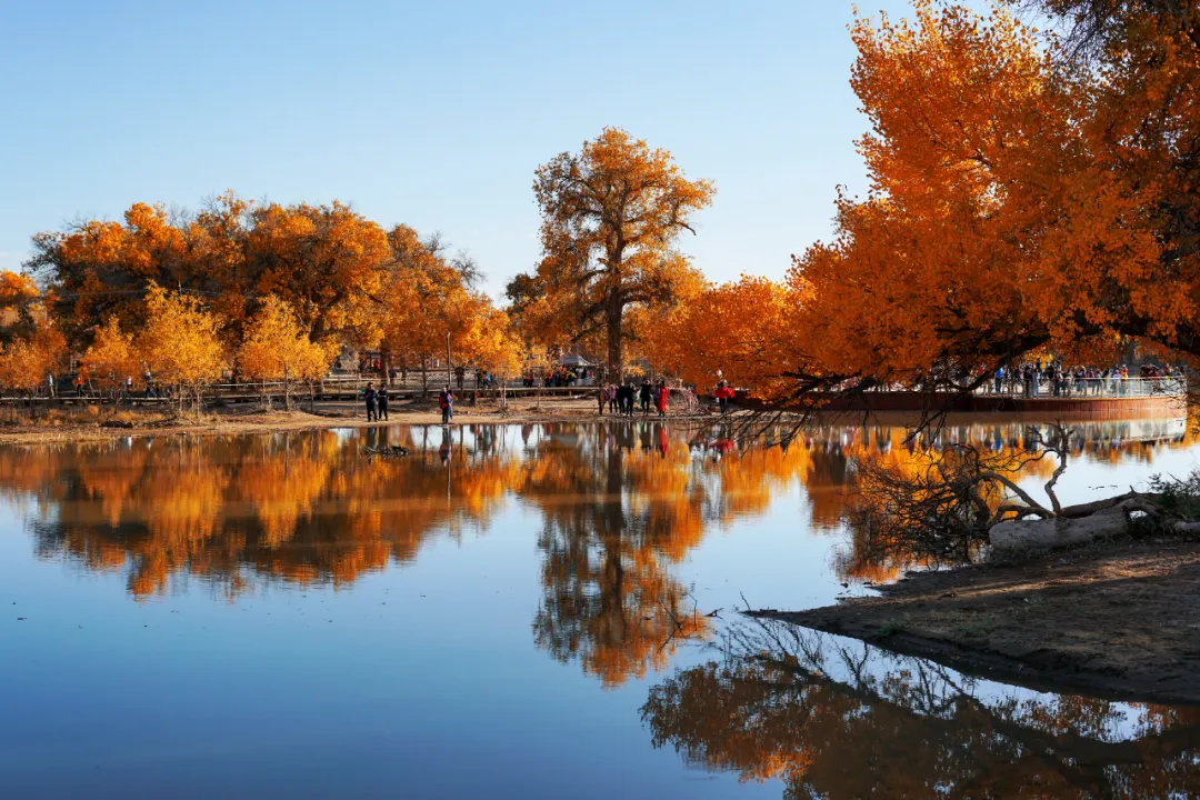 中秋出行！新晉黑馬目的地TOP10，小眾海島、賞秋秘境、文化慢城