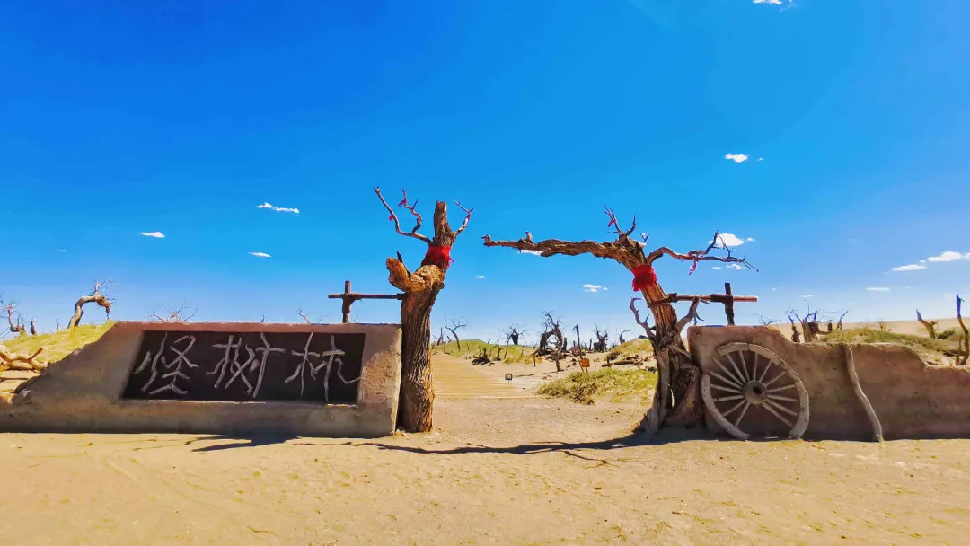 中秋出行！新晉黑馬目的地TOP10，小眾海島、賞秋秘境、文化慢城