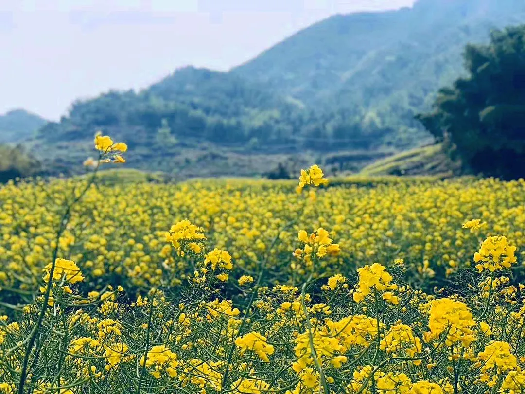 中秋出行！新晉黑馬目的地TOP10，小眾海島、賞秋秘境、文化慢城