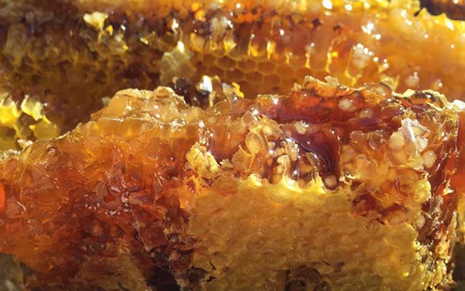 天然野生蜂蜜需要標注保質(zhì)期嗎（天然蜂蜜有保質(zhì)期嗎）