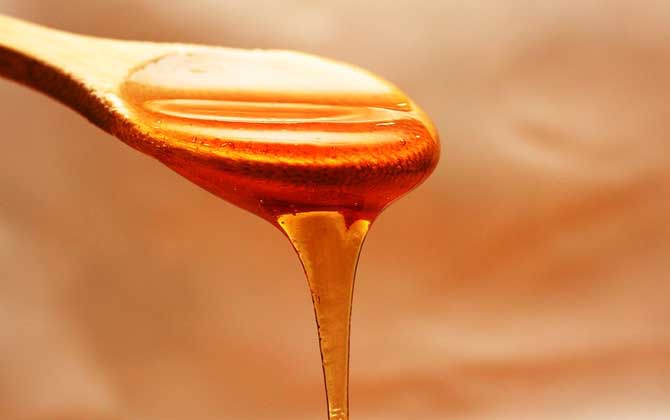 酸蜂蜜和普通蜂蜜的對(duì)比(酸蜂蜜比普通蜂蜜好嗎) 酸蜂蜜和普通蜂蜜的對(duì)比(酸蜂蜜比普通蜂蜜好嗎)