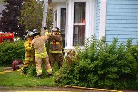 蜜蜂在我家筑巢風水好 蜜蜂在我家筑巢風水好