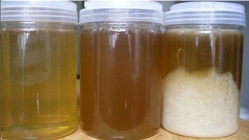 蜂蜜沉淀好還是不沉淀好(正宗蜂蜜的鑒別方法) 蜂蜜沉淀好還是不沉淀好(正宗蜂蜜的鑒別方法)