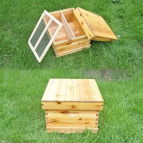 蜂箱外面有一團蜂是怎么回事(蜜蜂在蜂箱外面抱成一團是什么原因) 蜂箱外面有一團蜂是怎么回事(蜜蜂在蜂箱外面抱成一團是什么原因)